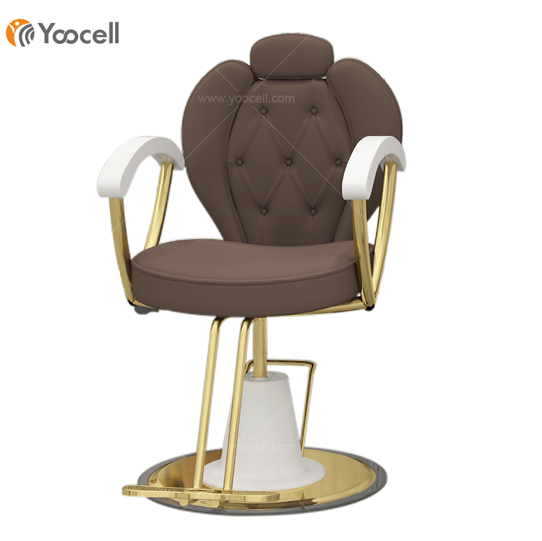 Beauty Style Classic Hydraulic Barber Chair 